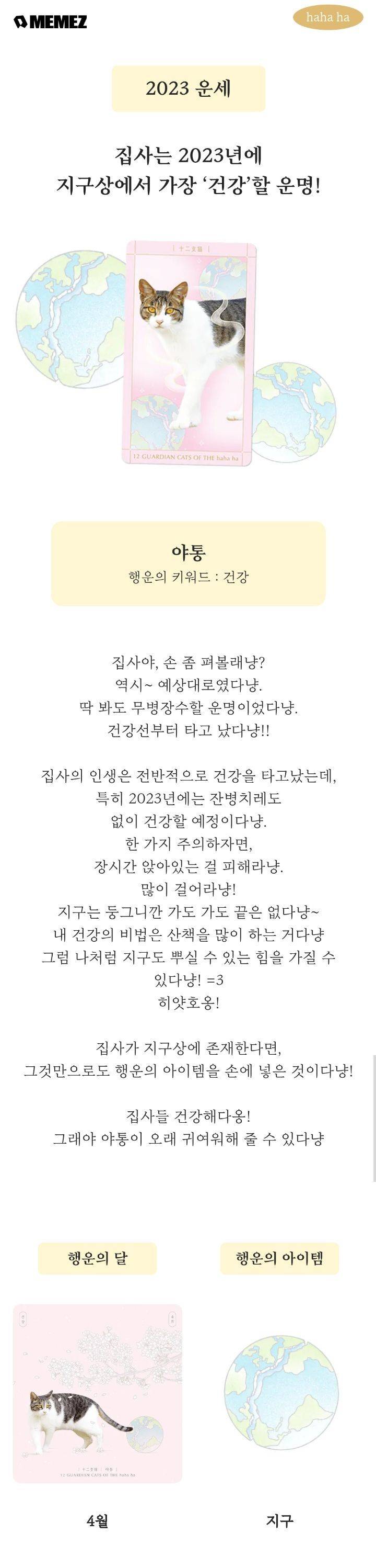 양어장 고양이들로 2023년 신년 운세 보기(feat.haha ha 십이냥이 행운카드) | 인스티즈