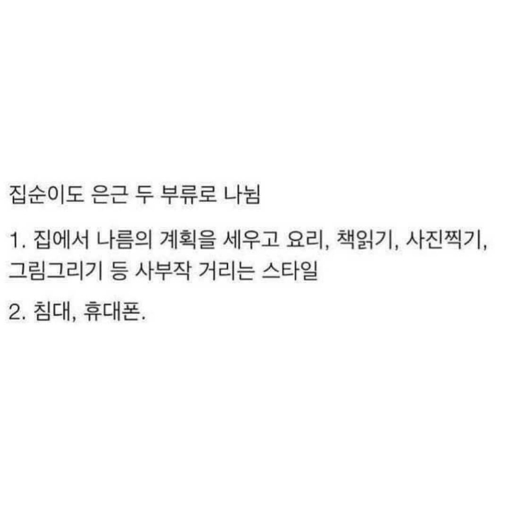 썸네일-집순이도 은근 두 부류로 나뉨-이미지