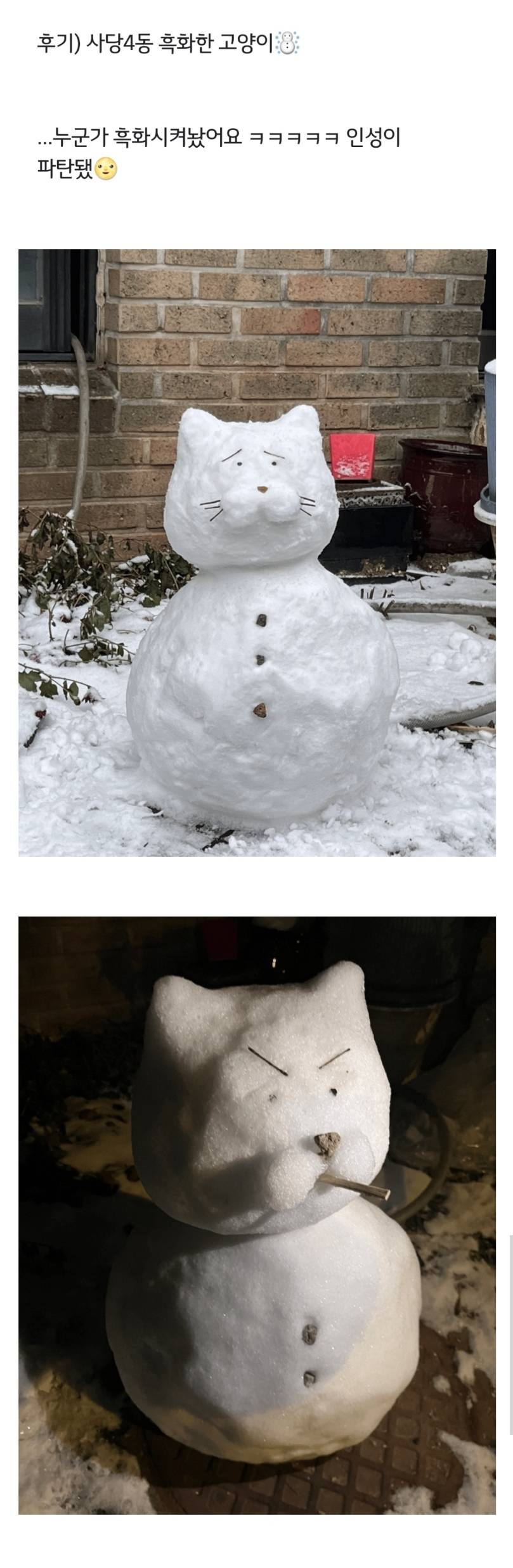 흑화한 고양이 눈사람 | 인스티즈