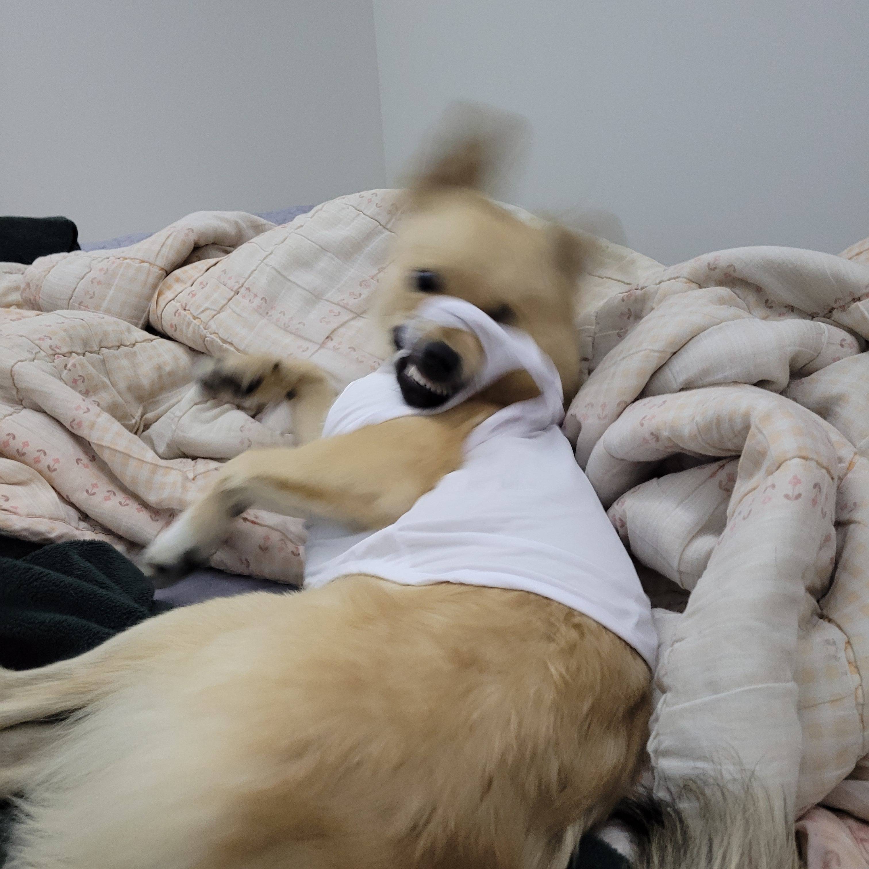 아ㅠ 개리야스 샀는데 망했어 | 인스티즈