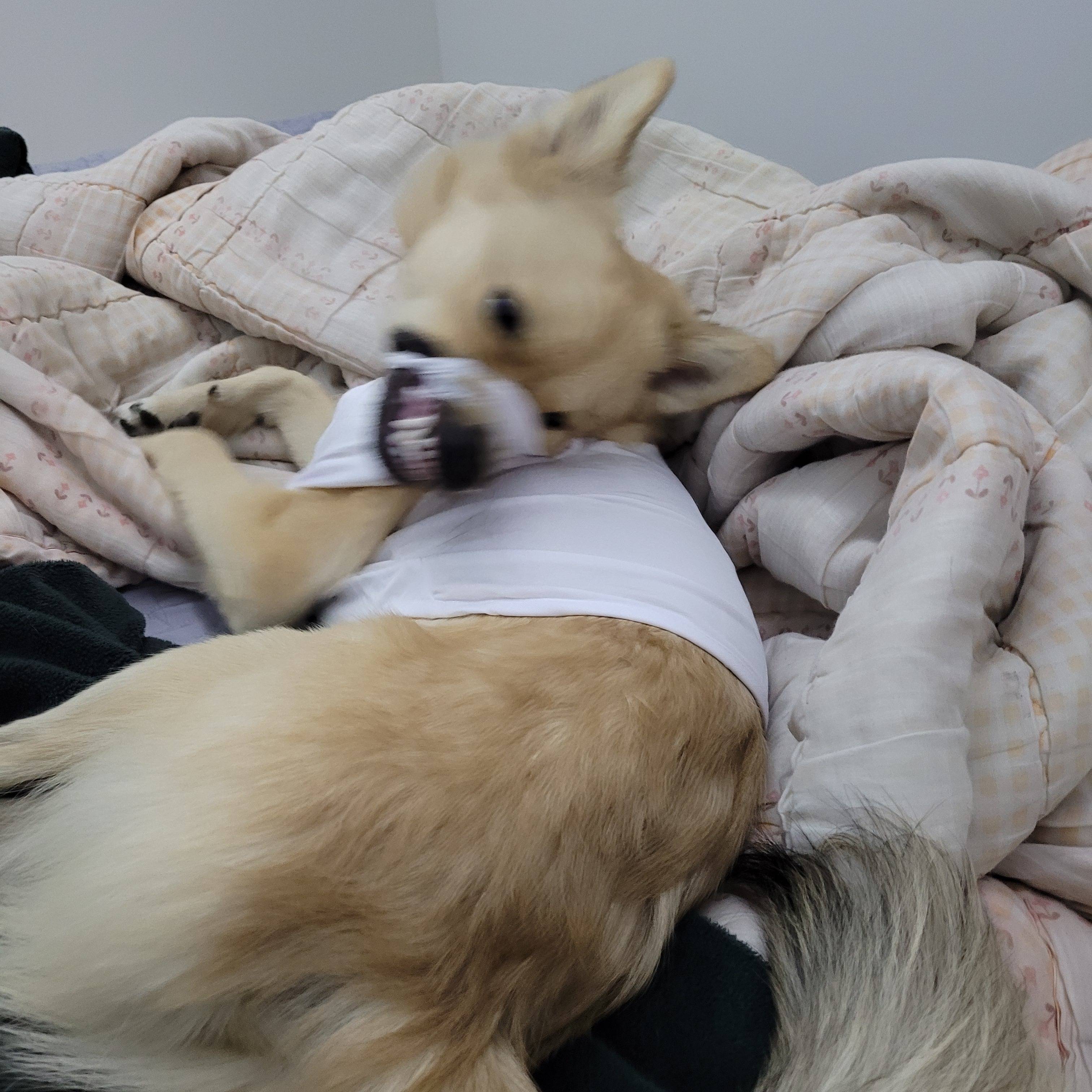 아ㅠ 개리야스 샀는데 망했어 | 인스티즈