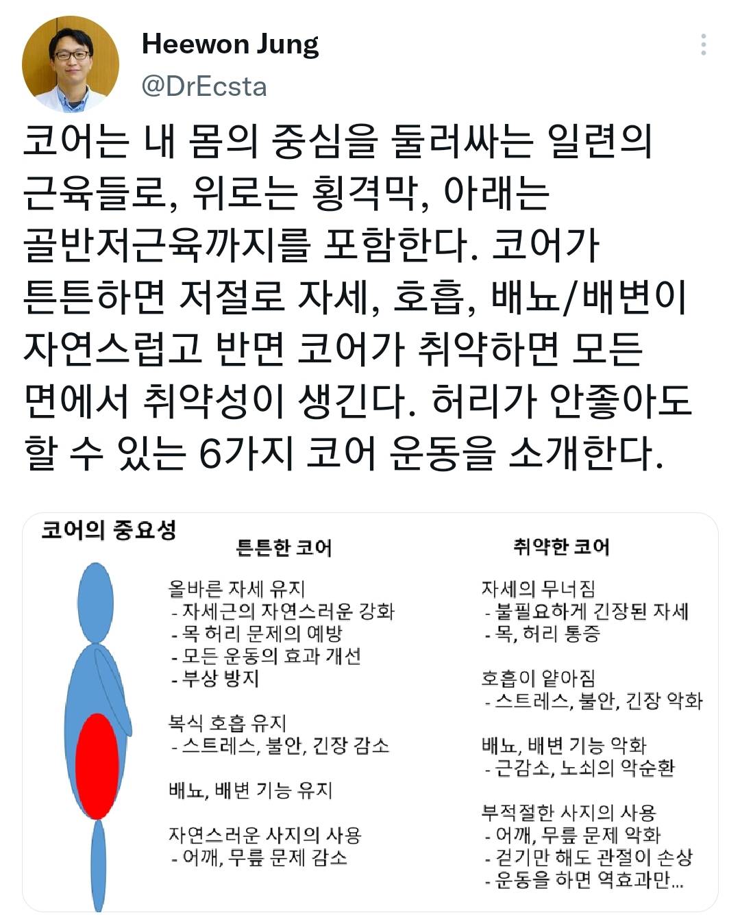 허리가 안 좋아도 할 수 있는 6가지 코어 운동