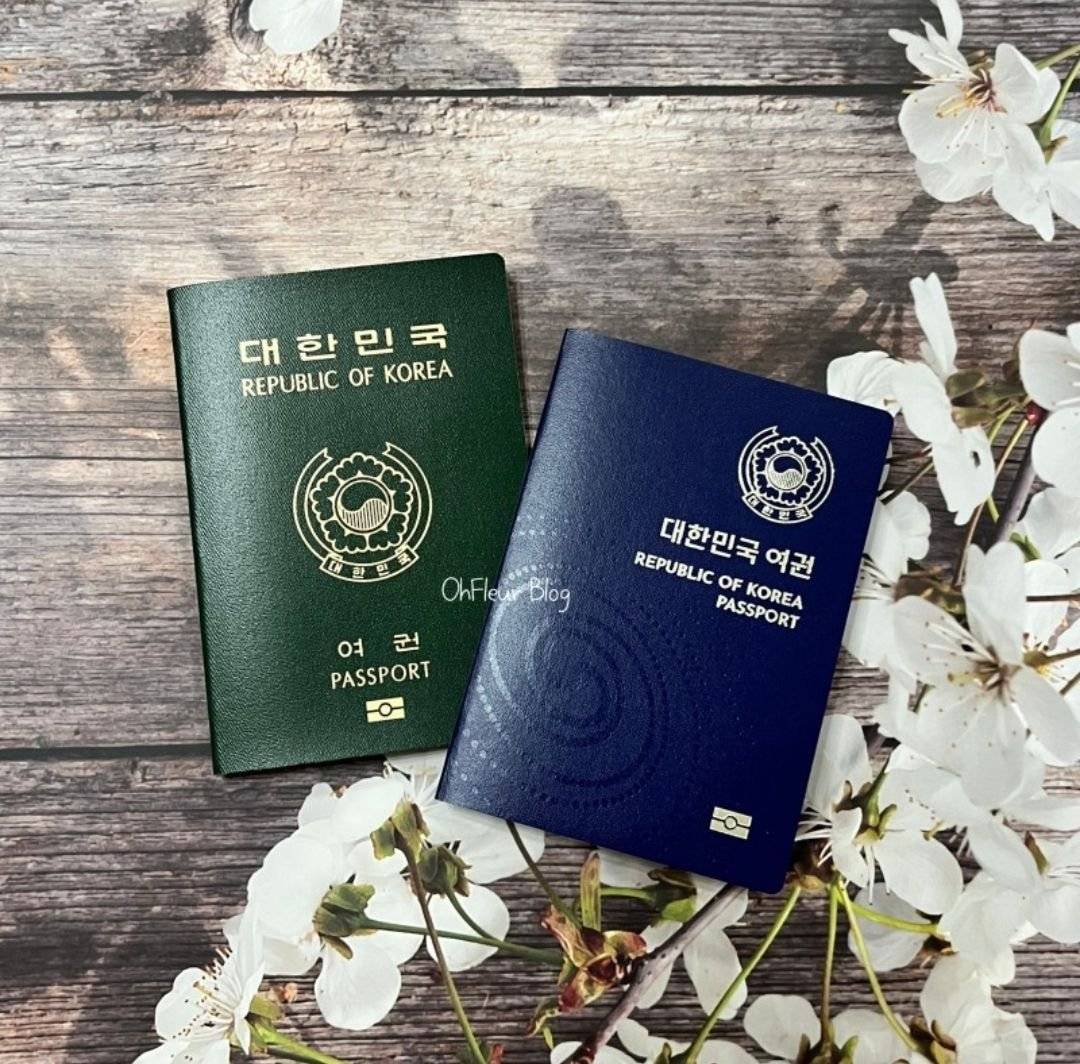 썸네일-사람들 사이에 갈린다는 우리나라 여권-이미지