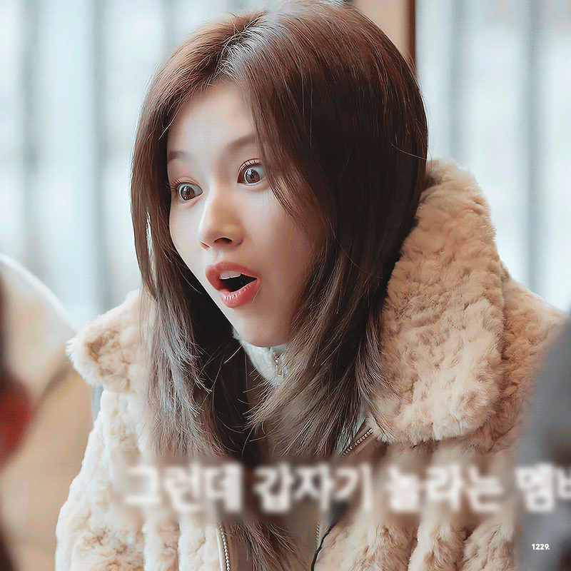 시바 닮은 사나 | 인스티즈