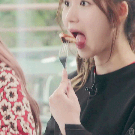 시바 닮은 사나 | 인스티즈