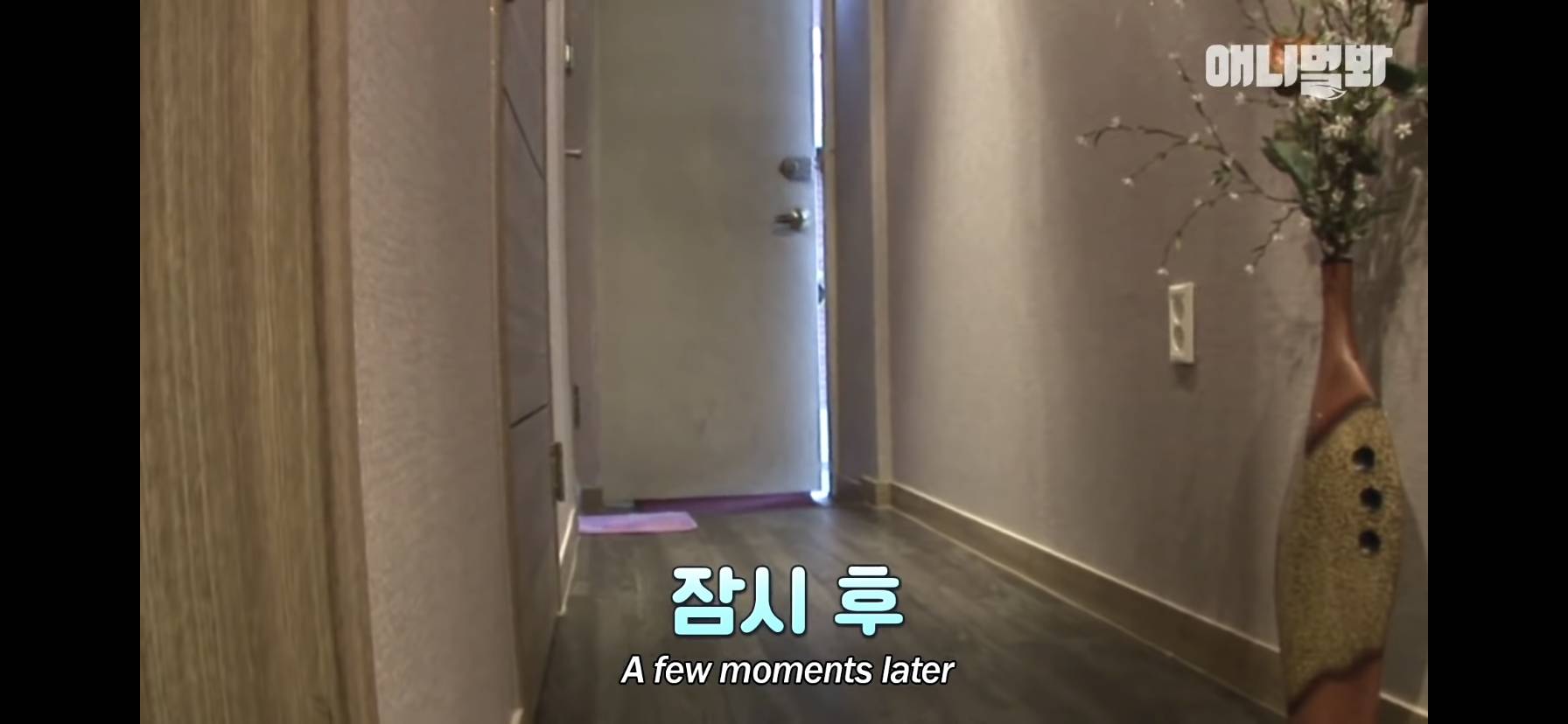 길고양이 목에 쪽지를 달자 생긴 영화같은 일 | 인스티즈