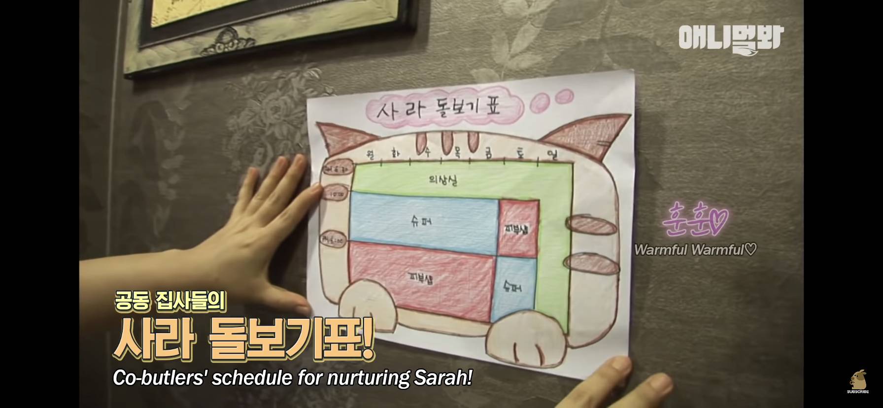 길고양이 목에 쪽지를 달자 생긴 영화같은 일 | 인스티즈