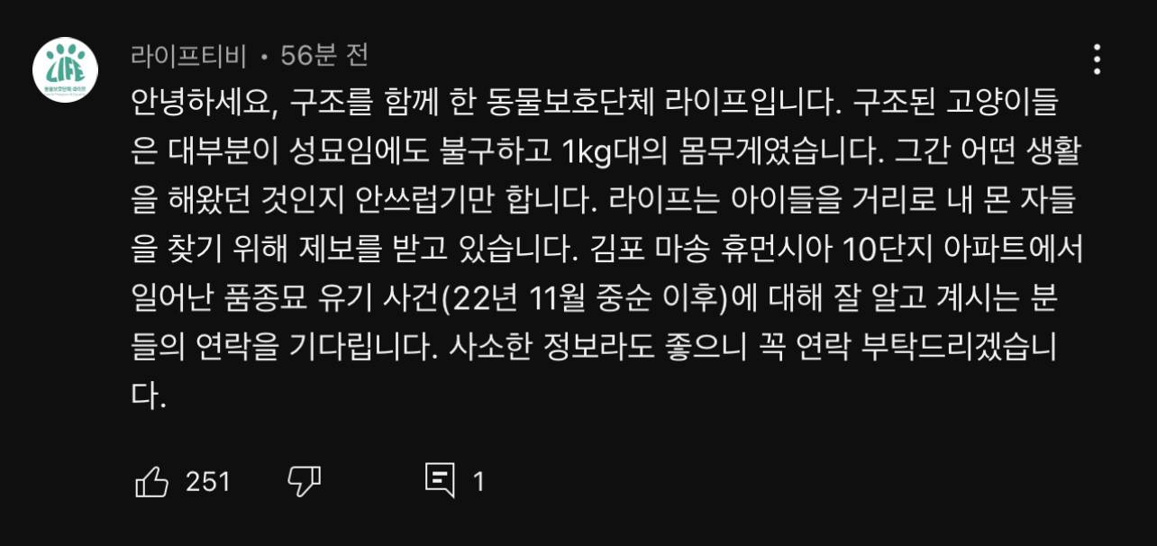경기도 김포시 마송 휴먼시아 10단지 아파트내에 집단으로 유기된 노르웨이숲 고양이 | 인스티즈