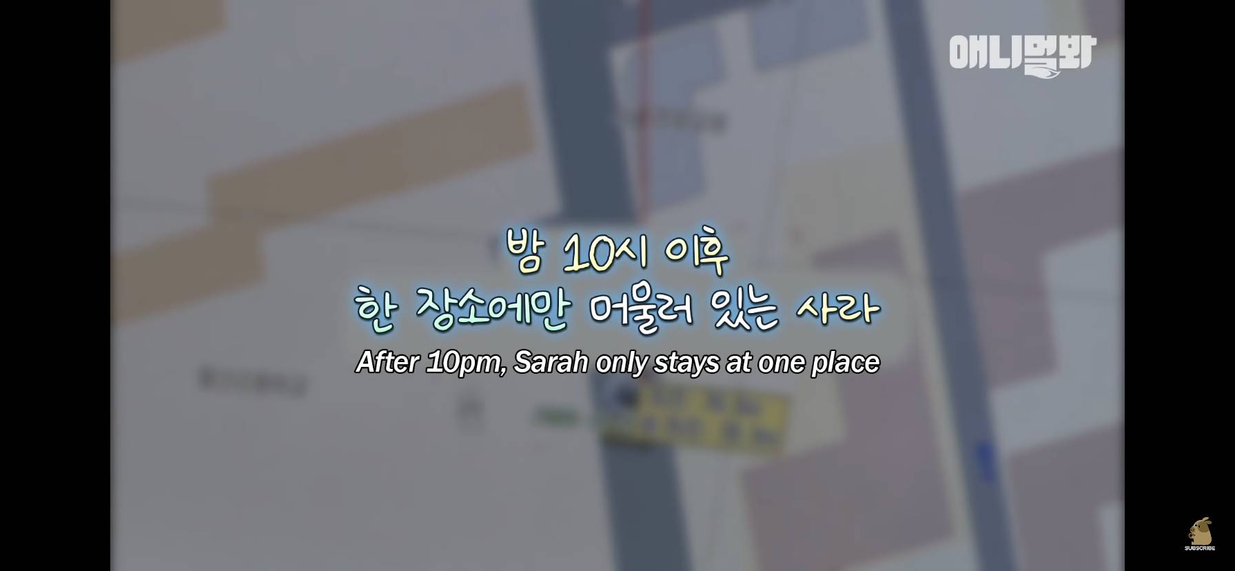 길고양이 목에 쪽지를 달자 생긴 영화같은 일 | 인스티즈