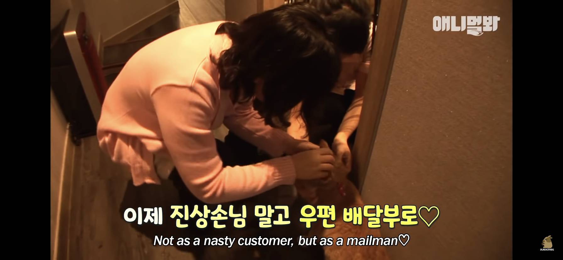 길고양이 목에 쪽지를 달자 생긴 영화같은 일 | 인스티즈