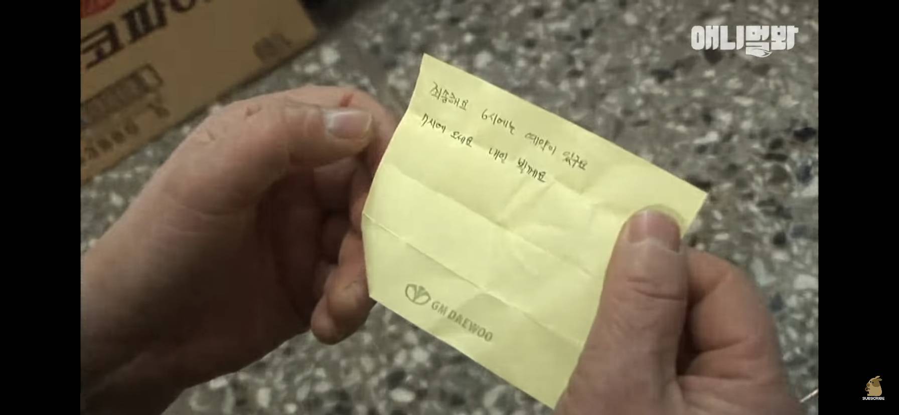 길고양이 목에 쪽지를 달자 생긴 영화같은 일 | 인스티즈