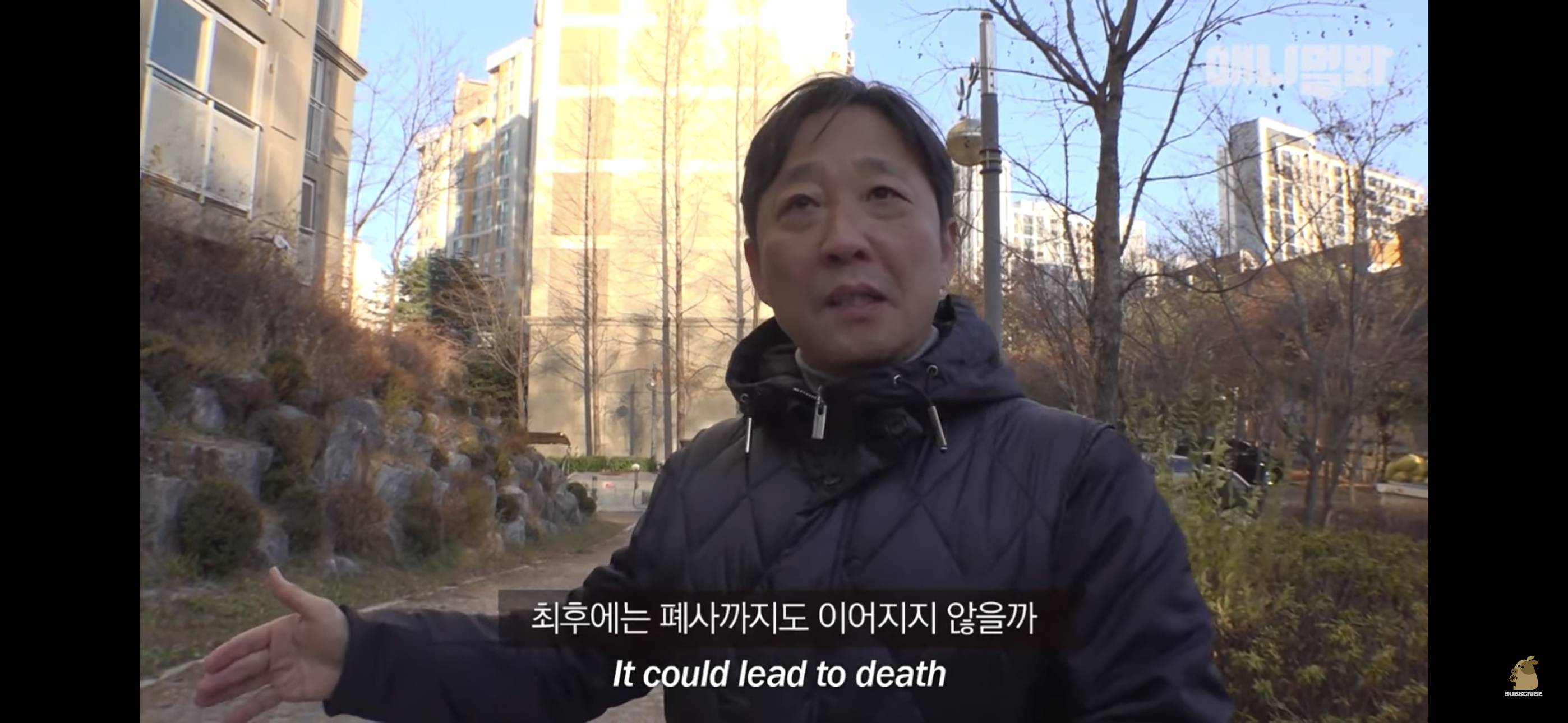 경기도 김포시 마송 휴먼시아 10단지 아파트내에 집단으로 유기된 노르웨이숲 고양이 | 인스티즈