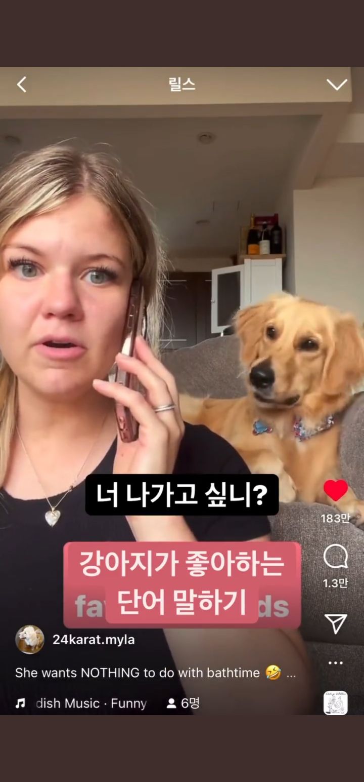 강아지가 좋아하는 단어 말하기 | 인스티즈