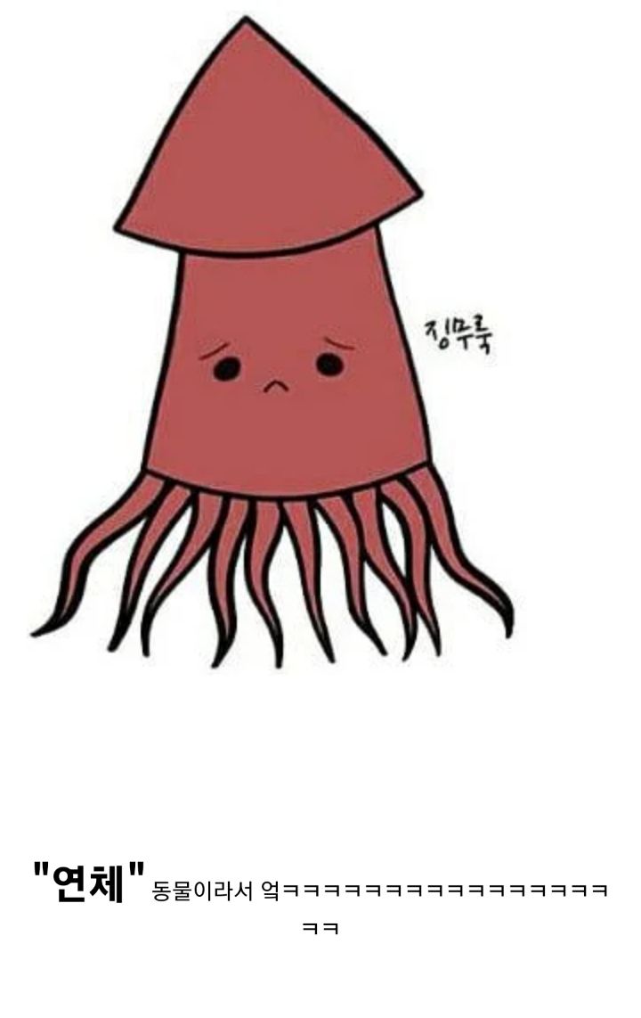 오징어는 대출이 안되는 이유 | 인스티즈