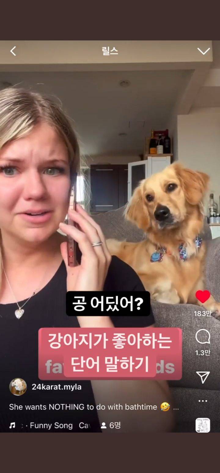 강아지가 좋아하는 단어 말하기 | 인스티즈