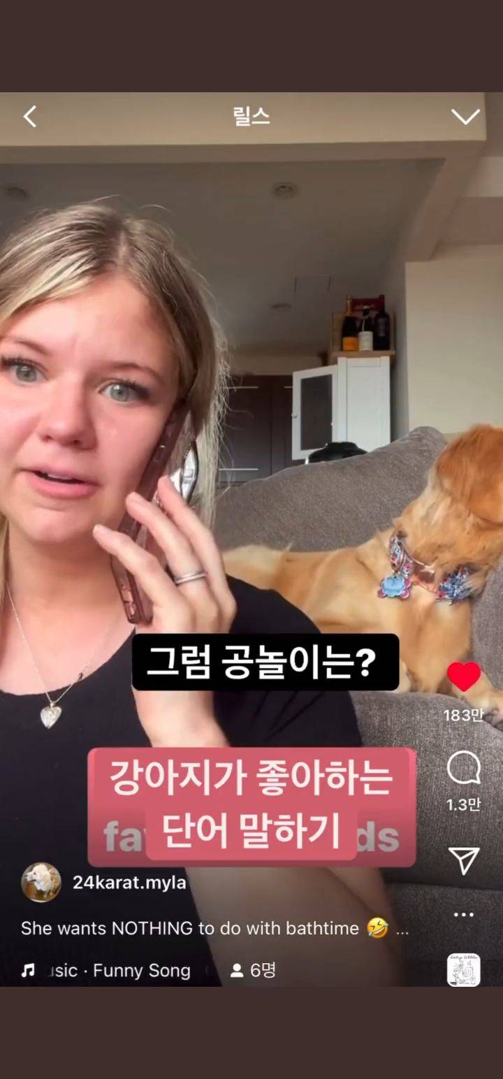 강아지가 좋아하는 단어 말하기 | 인스티즈