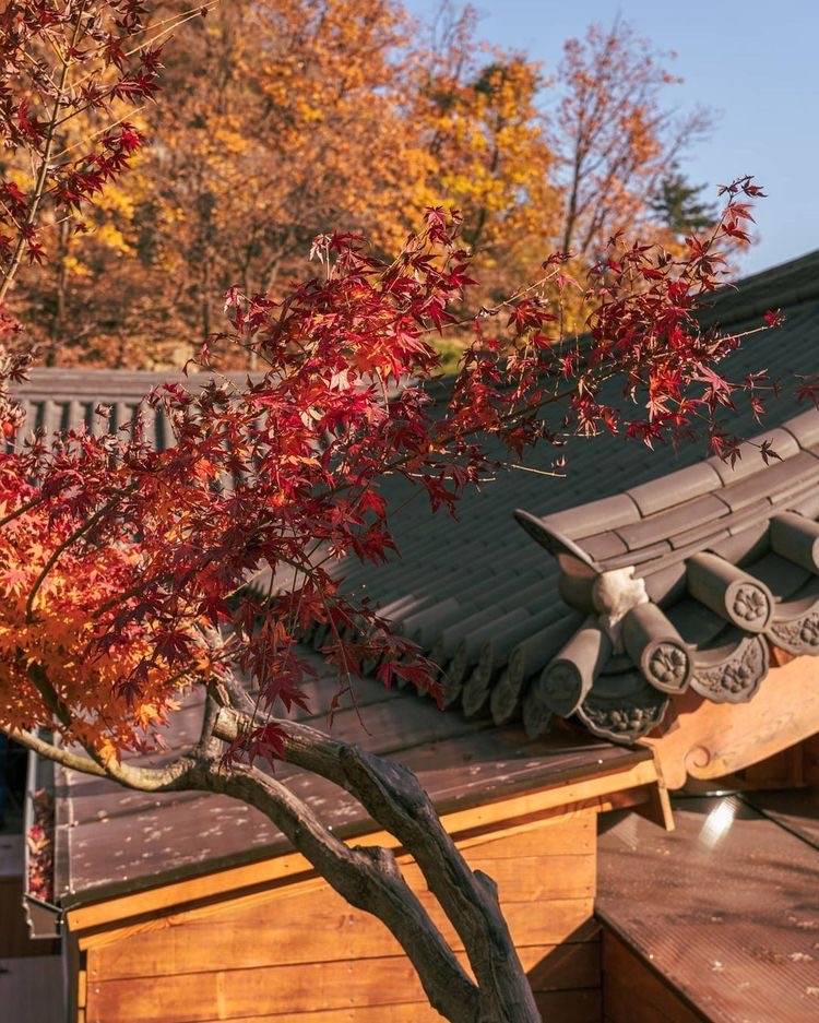 nokbeon.net-내가 사랑한 한국-5번 이미지