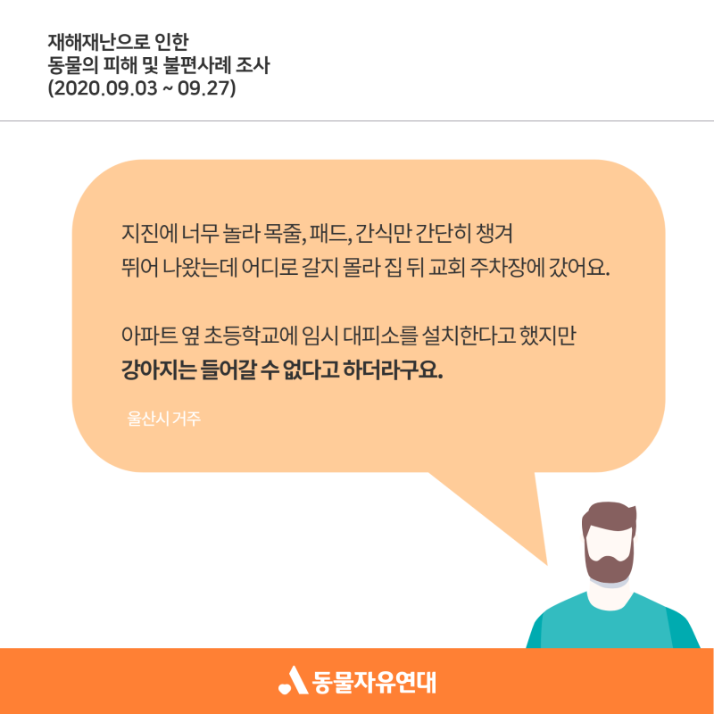 한국, 호주, 미국, 일본의 재난 발생 시 반려동물 대피 매뉴얼 | 인스티즈