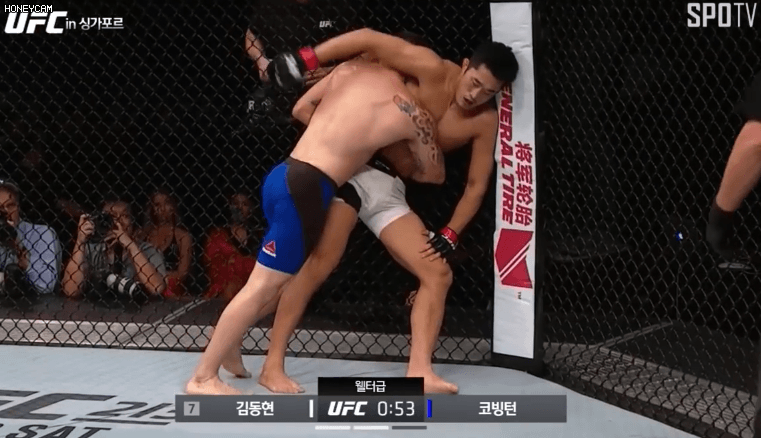 전성기 김동현이면 하빕 잡을 수 있다 VS 힘들다 | 인스티즈