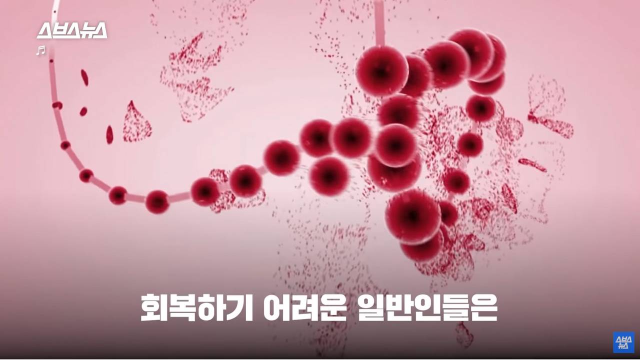 강한 여성의 마른 근육과 11자 복근의 필수 요소 낮은 체지방률 | 인스티즈