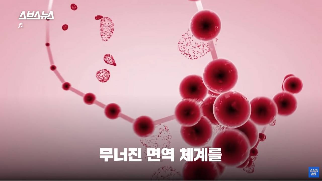 강한 여성의 마른 근육과 11자 복근의 필수 요소 낮은 체지방률 | 인스티즈