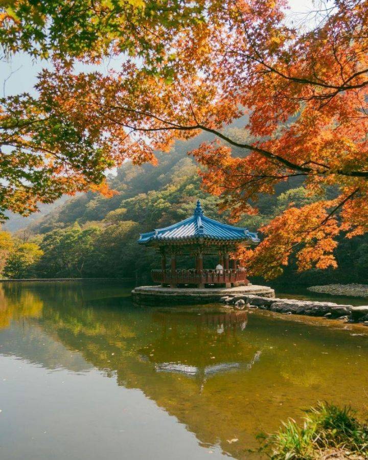 외국인들이 찍은 한국 가을 풍경 | 인스티즈