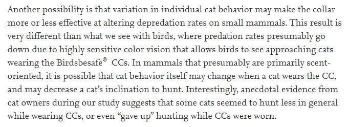 고양이 목도리가 정말 새 개체수 보존에 효과적일까? | 인스티즈