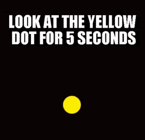 노란색 점을 5초간 보세요.GIF | 인스티즈