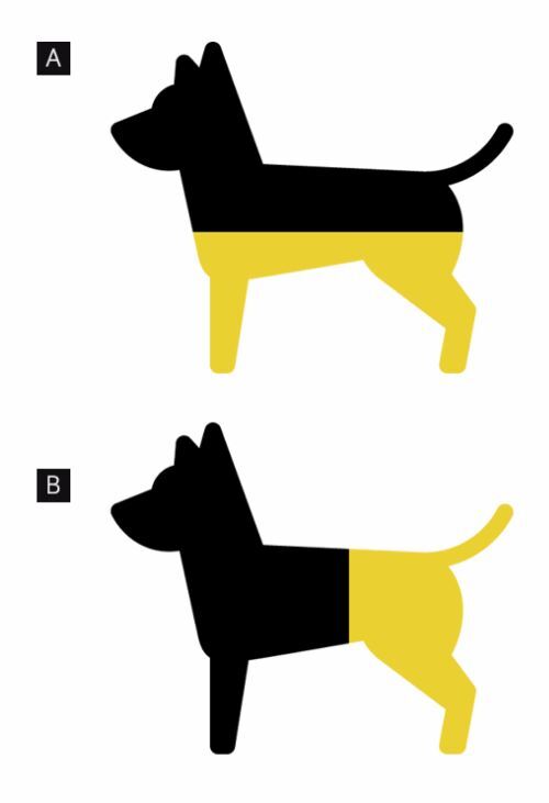 런닝맨 강아지 상하체 논란.jpg | 인스티즈