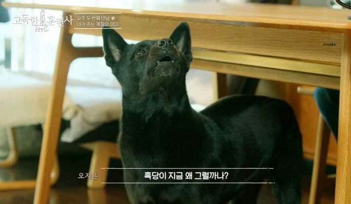 강형욱이 정말 행복해보였던 방송 에피소드.jpg | 인스티즈