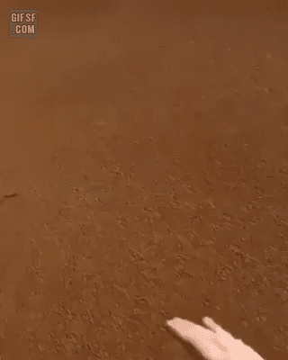 사하라 사막 모래 가지고 놀기.gif | 인스티즈