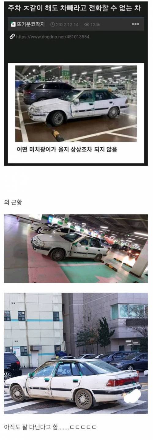  instiz 