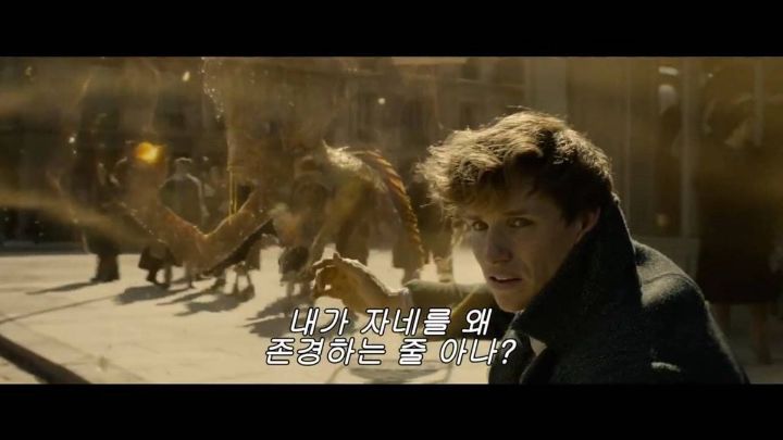 nokbeon.net-후플푸프 들이 후플푸프를 좋아하는 이유-9번 이미지