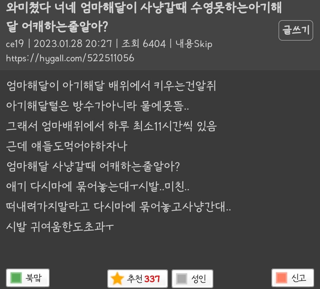 와미쳤다 너네 엄마해달이 사냥갈때 수영못하는아기해달 어캐하는줄알아? | 인스티즈