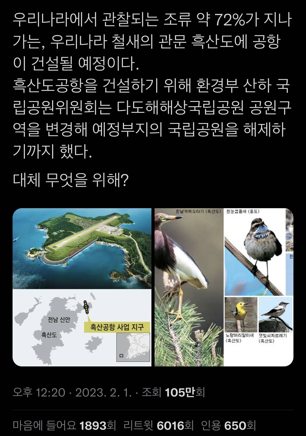 고양이가 새를 죽이니 안락사 해야한다는 와중에 인간이 더 깔끔한 야생조류 학살법을 발표 | 인스티즈