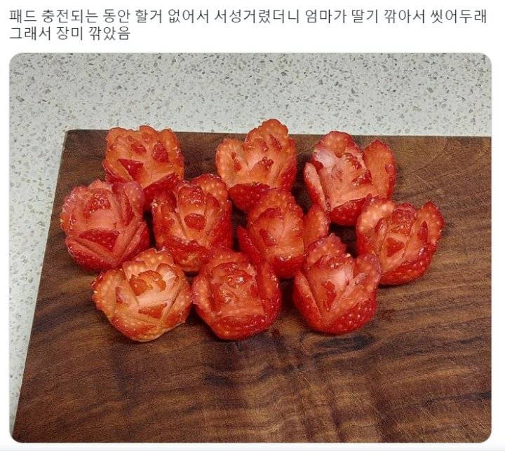 썸네일-엄마가 딸기 깎아서 씻어두래서-이미지