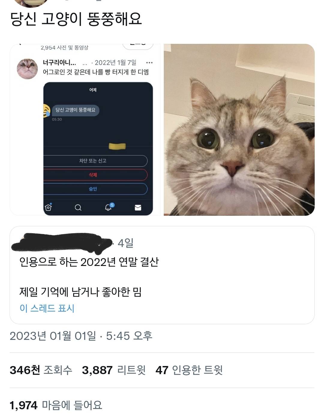 당신 고양이 뚱쭝해요.twt | 인스티즈