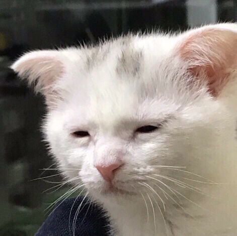 전석 매진 됐다는 방탄소년단 슈가 솔로 투어 미국 공연(feat. 팬덤에서 곡소리나는 이유) | 인스티즈