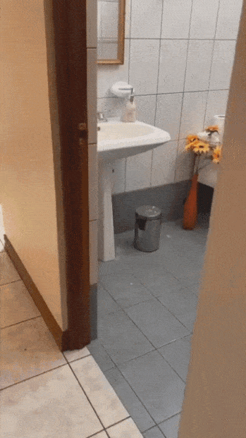 볼일보는 댕댕이 | 인스티즈