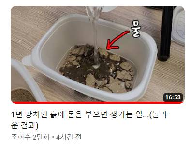 죽은 땅에 물을 부었는데 생명체들이 부화함 개신기 (지진이나 홍수가 일어나는 이유일까? 🤔) | 인스티즈