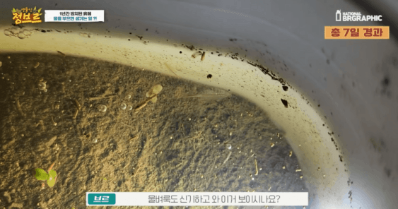 죽은 땅에 물을 부었는데 생명체들이 부화함 개신기 (지진이나 홍수가 일어나는 이유일까? 🤔) | 인스티즈