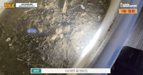 죽은 땅에 물을 부었는데 생명체들이 부화함 개신기 (지진이나 홍수가 일어나는 이유일까? 🤔) | 인스티즈