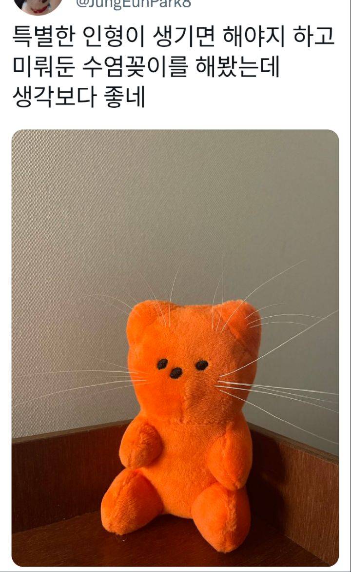 고양이 수염꽂이 인형.twt | 인스티즈