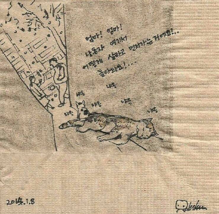 길고양이의 일기.jpg | 인스티즈