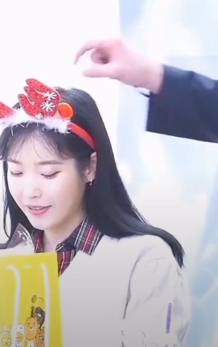 아이유 경호원이 하는 일.jpg | 인스티즈