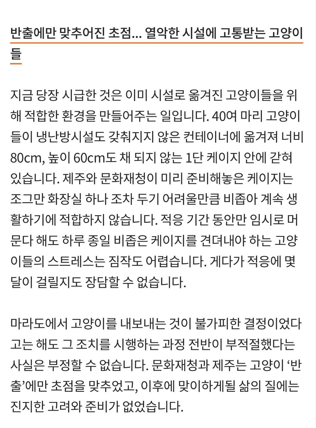 마라도에서 방출 후 케이지 안에 갇혀 있는 40여마리 마라도 고양이들 | 인스티즈