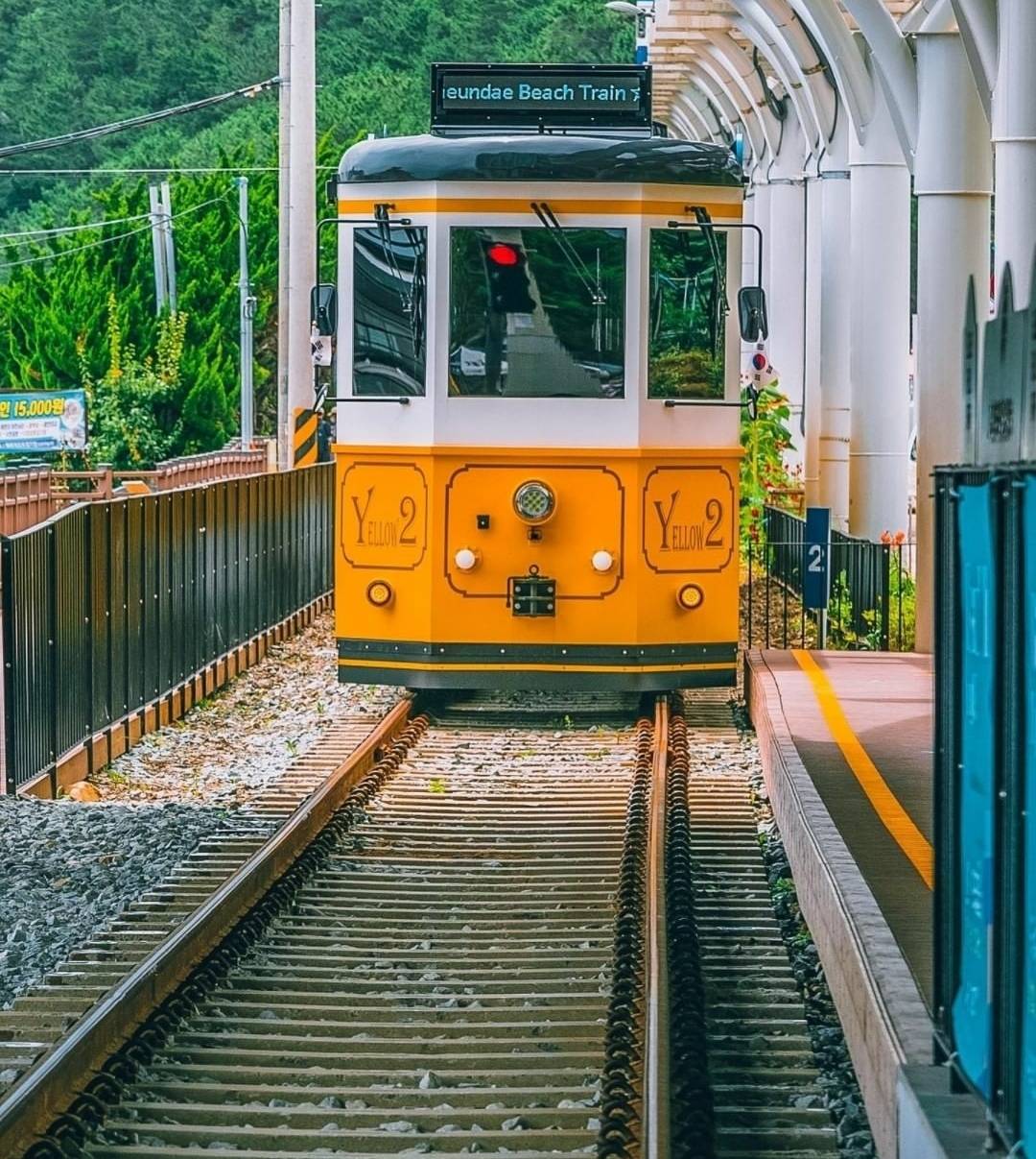 부산 청사포에 있다는 미니미 해상열차.jpg | 인스티즈
