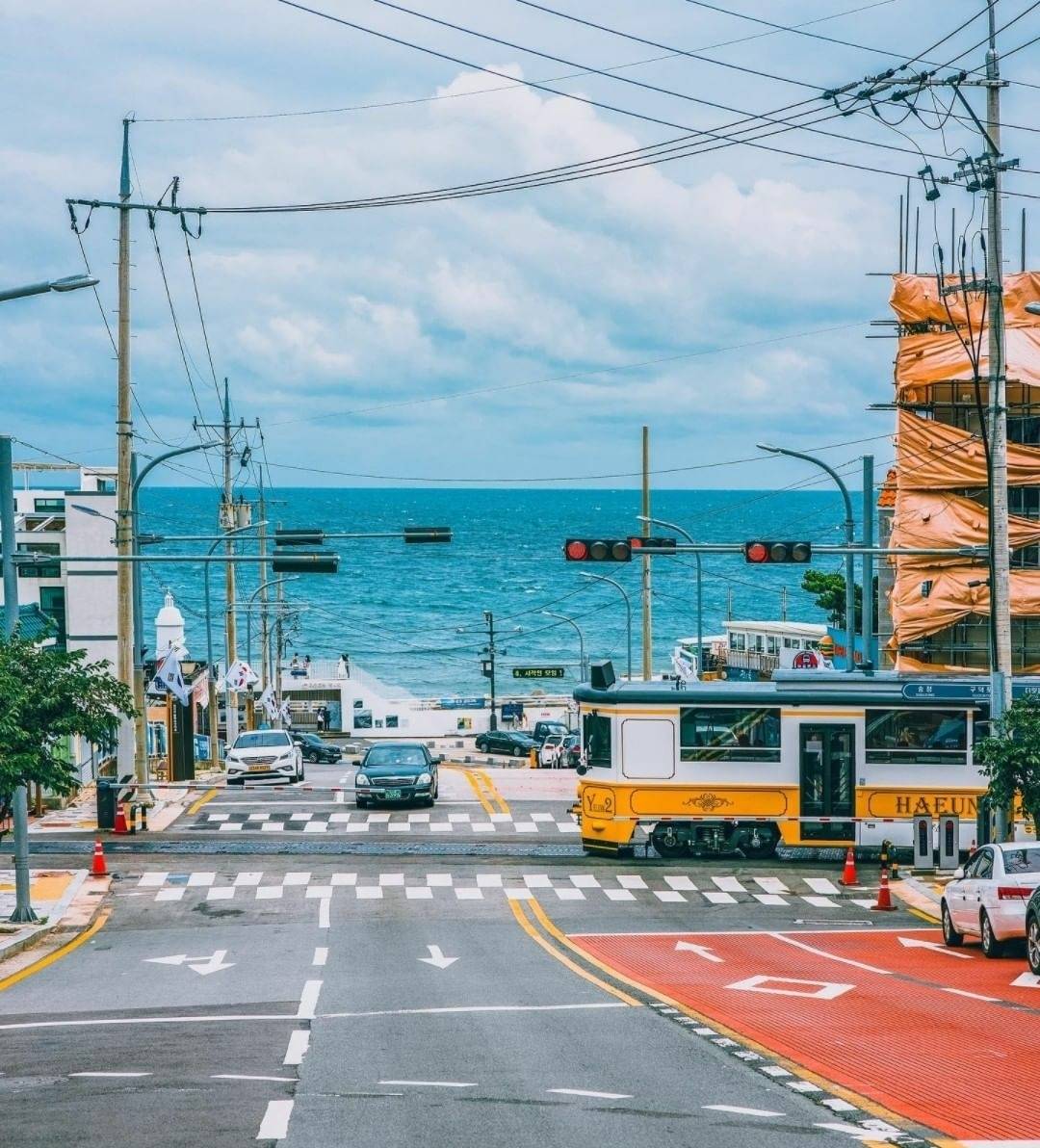 부산 청사포에 있다는 미니미 해상열차.jpg | 인스티즈