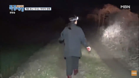 당신이 버린 강아지는 어떻게 되었을까 | 인스티즈