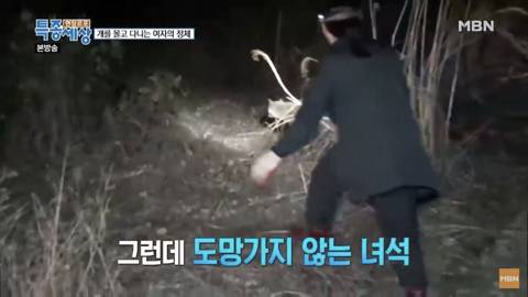 당신이 버린 강아지는 어떻게 되었을까 | 인스티즈